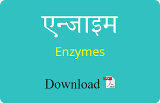 एन्जाइम ( Enzymes )