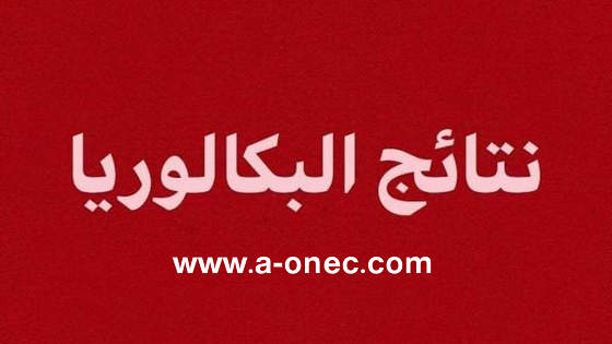 التلميذ صديقي عبد الصمد من ولاية تلمسان يتحصل على أعلى معدل في البكالوريا وطنيا