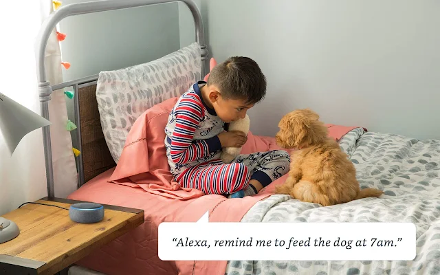  Alexa, remind me to feed the dog at 7 am.