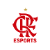 Logo Flamengo Esports Vector CDR, Ai, EPS, PNG HD