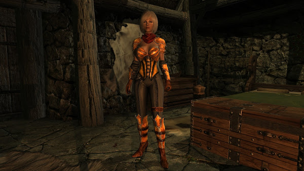 Custom armor for The Elder Scrolls V Skyrim