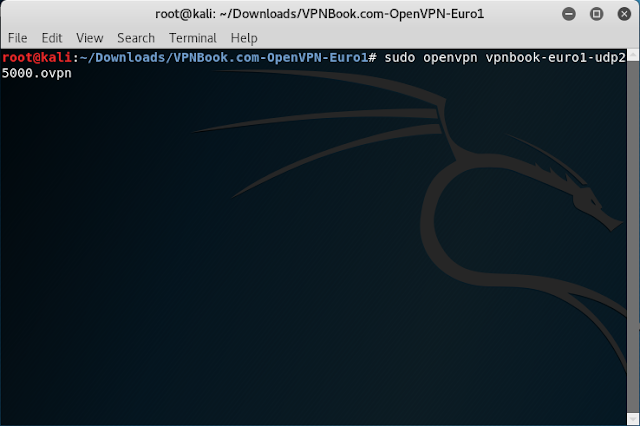 Kali Linux, Avvio OpenVPN