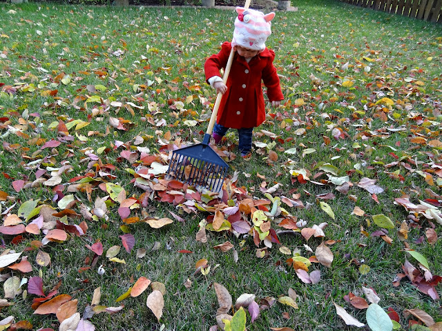 Playing in the Leaves