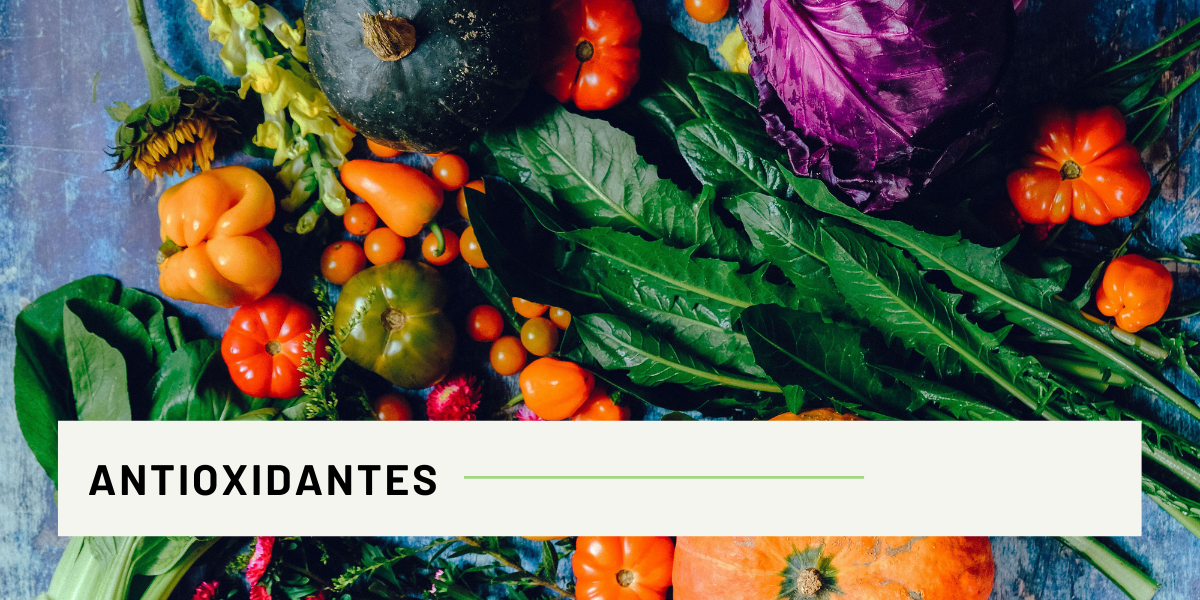 ANTIOXIDANTES