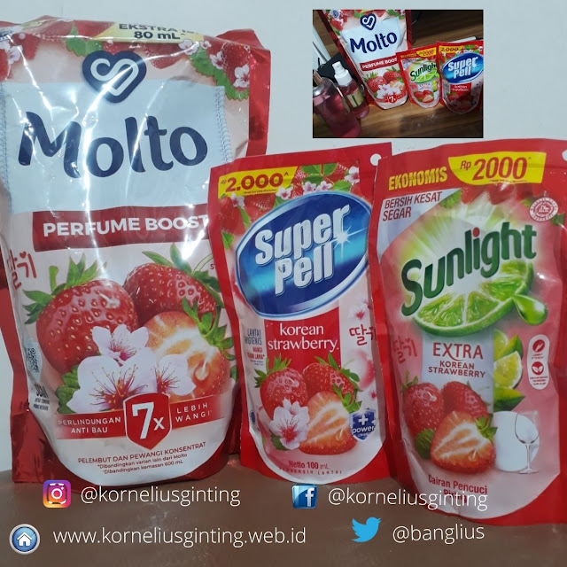 Molto Korean Strawberry