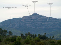 El Montcau des del Serrat del Vintró