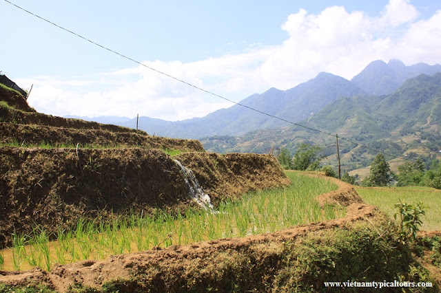 VIDEO: Homestay in Sapa – Hiking the Muong Hoa Valley