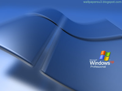 Windows XP Normal Resolution Wallpaper 2