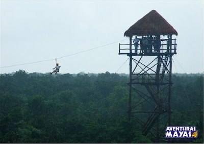 flying fox