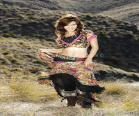 Neha, sharma, hot, navel, images