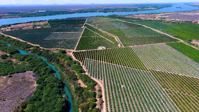 FRUTICULTURA E IRRIGAÇÃO