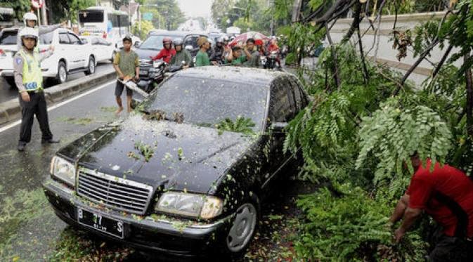 Tempat Yang Dilarang Untuk Berteduh Saat Hujan