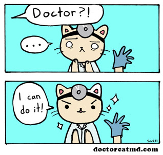 Webcomics I Love: Doctor Cat