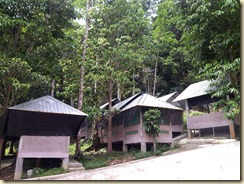 Campsite Venue D 2