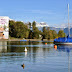 Bob in Wessen, East Switzerland