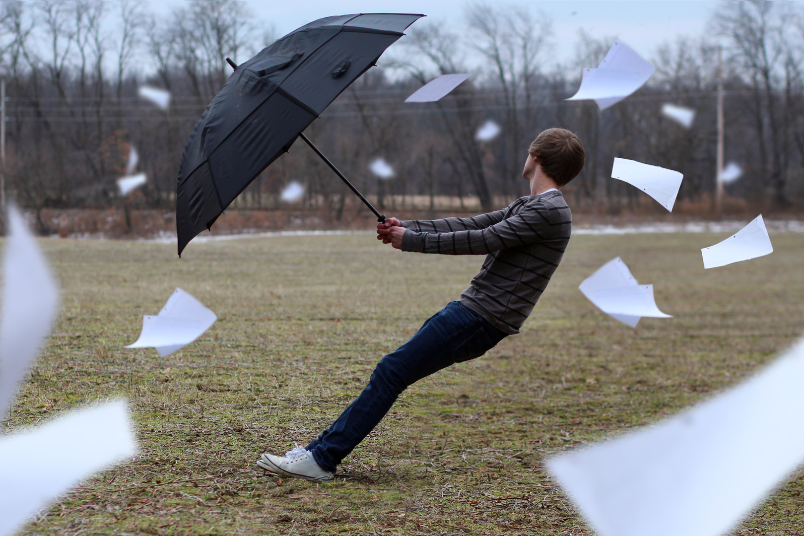 A very strong wind. Windy. Ветер фотосток. Фото Windy weather.