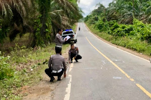 Brakk! 3 Pemotor Tewas Usai Tabrakan di Jalan Sekadau - Sintang 