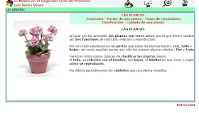 http://www.ceiploreto.es/sugerencias/juntadeandalucia/Costa21/seres/contenidos/plantas0.html