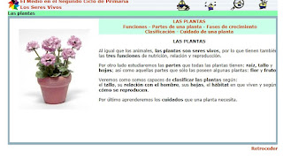 http://www.ceiploreto.es/sugerencias/juntadeandalucia/Costa21/seres/contenidos/plantas0.html