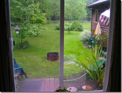 view from inside