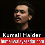 https://www.humaliwalayazadar.com/2018/06/kumail-haider-ramzan-noha-2018.html