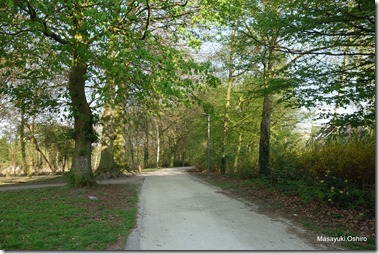 76-DSC02090