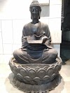 Buddha Purnima - The Enlightened One