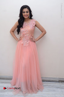 Actress Neha Hinge Stills in Pink Long Dress at Srivalli Teaser Launch  0157.JPG