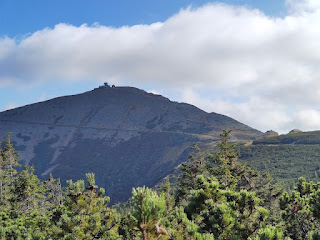 Śnieżka