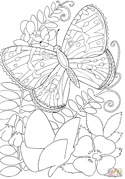 Click The Butterfly Among Flowers Coloring Pages To View Printable Version  Or Color It Online Patible With Ipad And Android Tablets