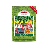 Cabe Baja F1,cabe,baja,f1,lmga agro