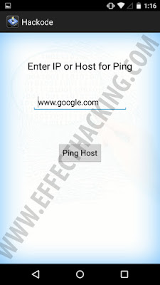 Hackode Ping tool snapshot
