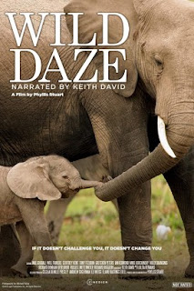 فيلم Wild Daze 2020 مترجم اون لاين