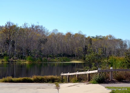 Lakes in the Park