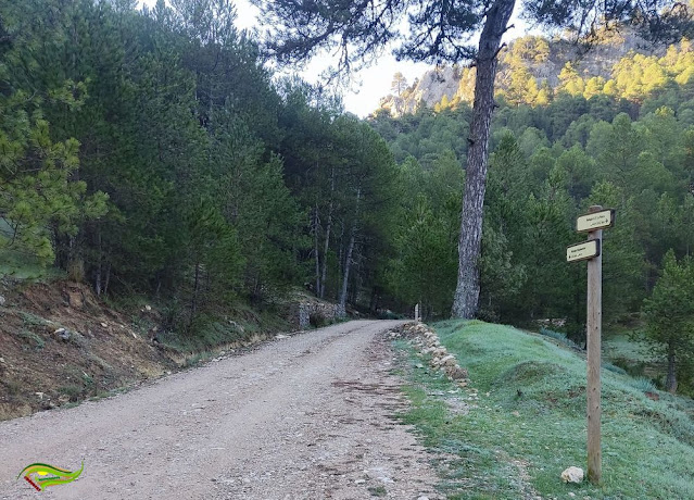 Circular a Peña Corva desde el Área Recreativa Gil Cobo (Sierra de Las Villas)