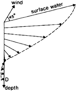 Spiral Ekman dalam arus permukaan