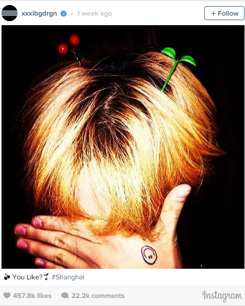 Instagram post of a celebrity wearing bean sprout hair pin