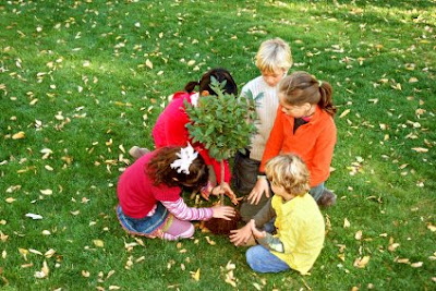 NAMC montessori classroom cultural activities turkey independence day egemenlik bayrami planting a tree