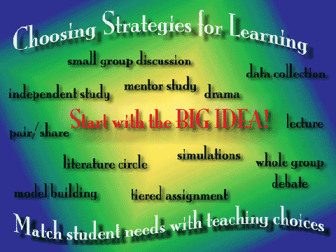 differentiated instruction  strategies