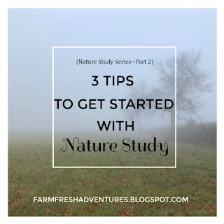 3 Tips To Get Started with Nature Study