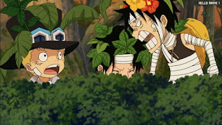 ワンピースアニメ 幼少期 495話 エース サボ ルフィ | ONE PIECE Episode 495