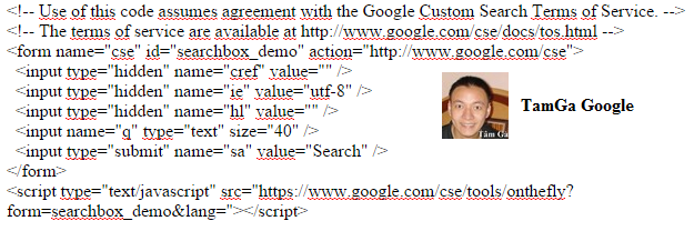 custom-term-of-service-google-searchbox