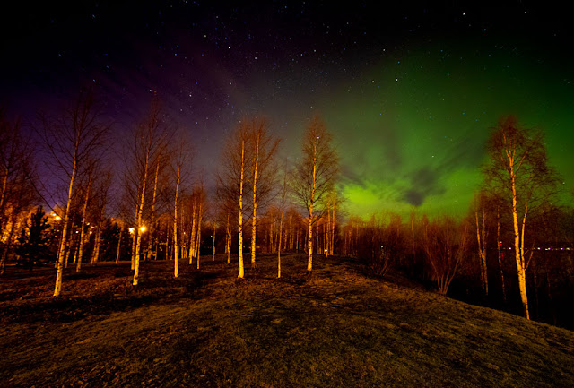 Aurora boreale all'Arktikum park-Rovianiemi
