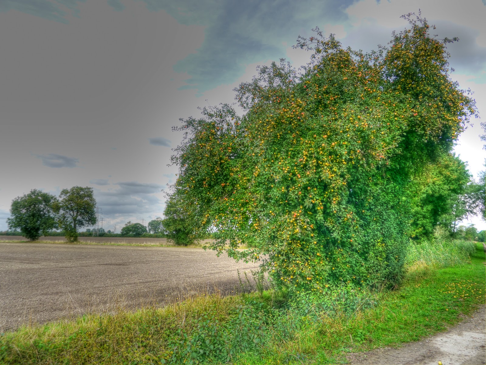 P1170898_6_7_tonemapped.jpg