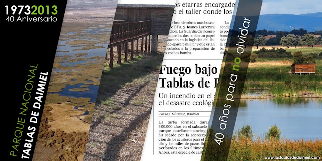 Tablas de Daimiel 40 aniversario turbas recuperacion memoria