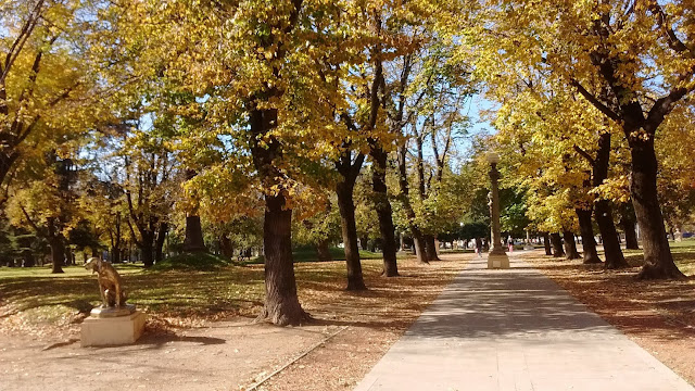 Foto: otoño en Tandil 2019