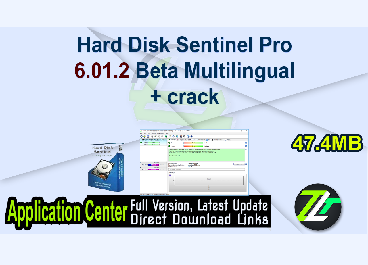 Hard Disk Sentinel Pro 6.01.2 Beta Multilingual + crack