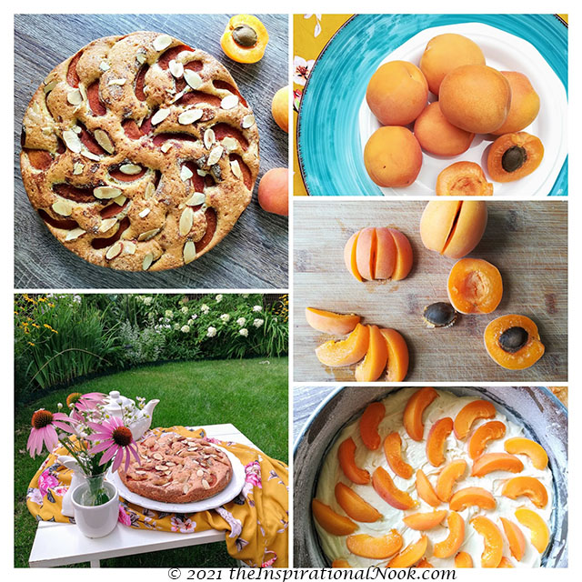 Apricot torte, Apricot and almond cake, fresh apricot cake, moist apricot cake, aprikosenkuchen, german apricot cake, fresh apricot and almond cake, inspired by marian burros, marian burros plum torte variation