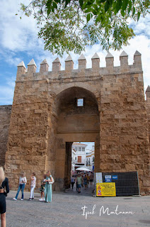 cordoba kurtuba ispanya spain - gezi seyahat blog mezquita cami