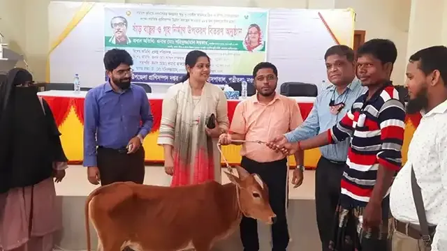 পত্নীতলায় প্রাণিসম্পদ অধিদপ্তরের বাছুর-গৃহ নির্মাণ সামগ্রী বিতরণ